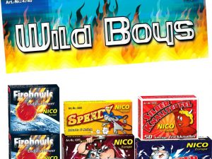 Wild Boys Feuerwerk Sortiment F1