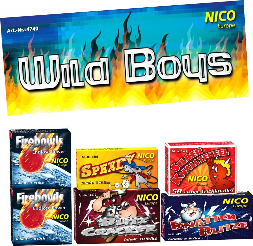 Wild Boys Feuerwerk Sortiment F1
