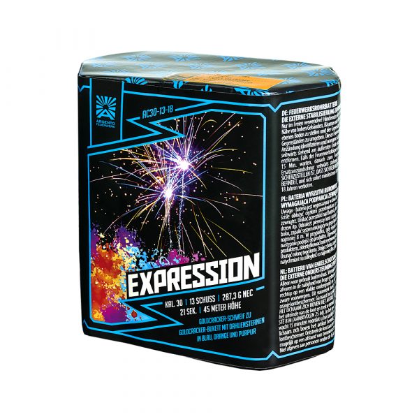 Argento Expression 13 Schuss Batterie