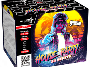 Sky Painter House Party 35 Schuss Cake