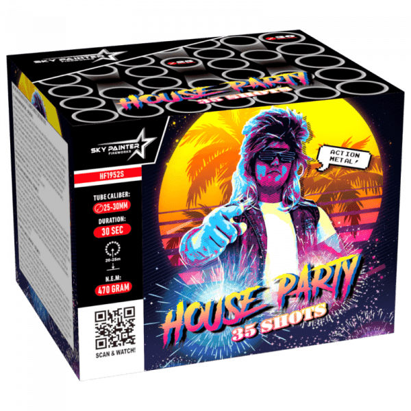 Sky Painter House Party 35 Schuss Cake