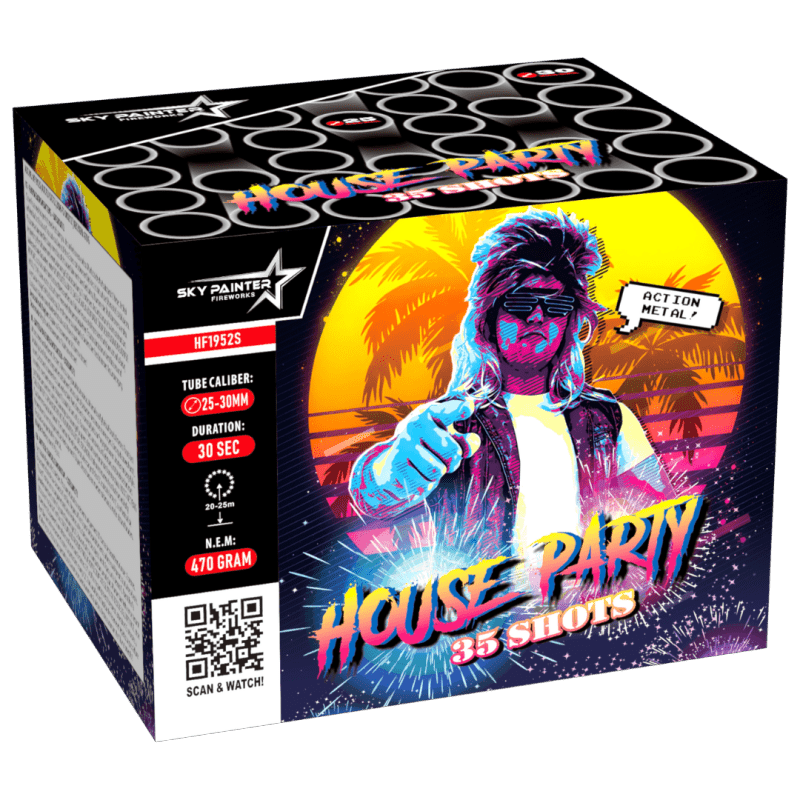 Sky Painter House Party 35 Schuss Cake