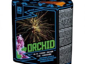 Argento Orchid