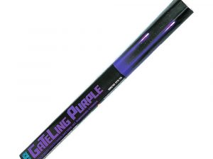 Römisches Licht in Purple von Argento
