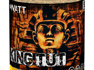 Lesli King Tut