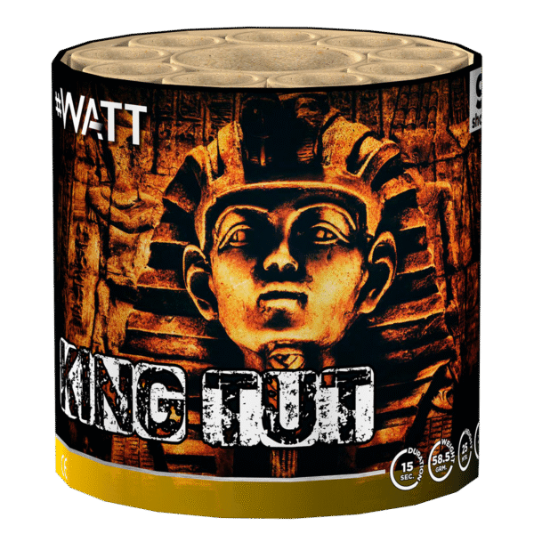 Lesli King Tut