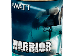 Lesli Warrior