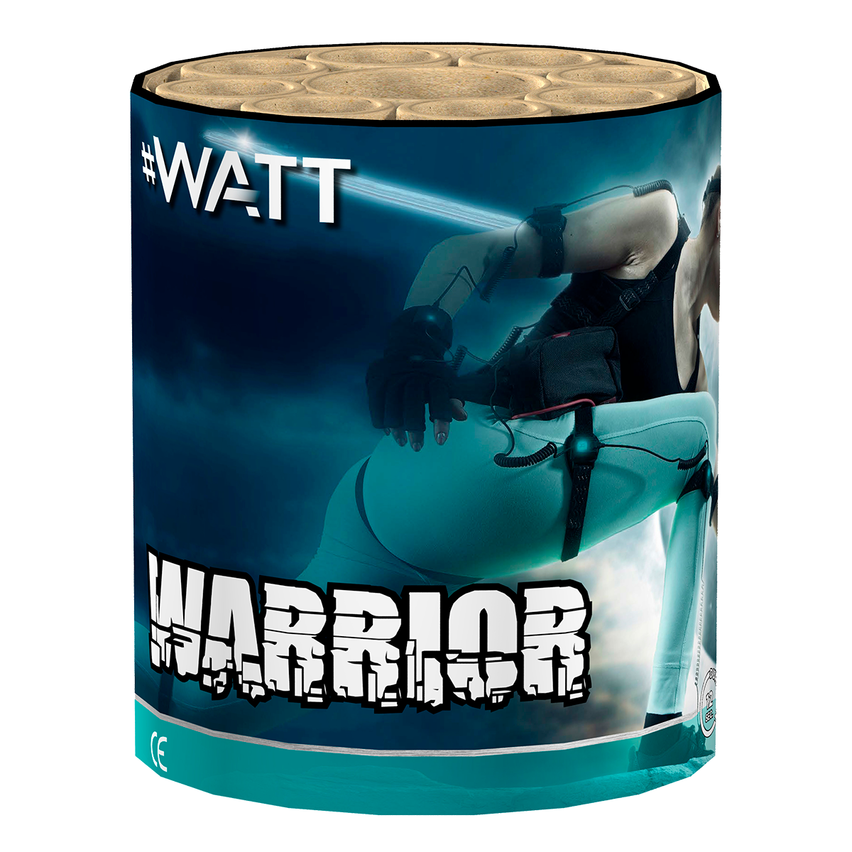 Lesli Warrior