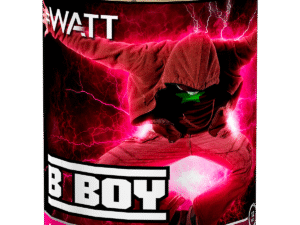 Lesli B-Boy