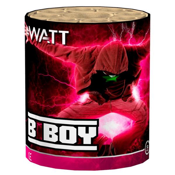 Lesli B-Boy