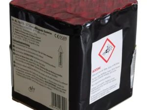 NICO Swimming Pool, 25 Schuss